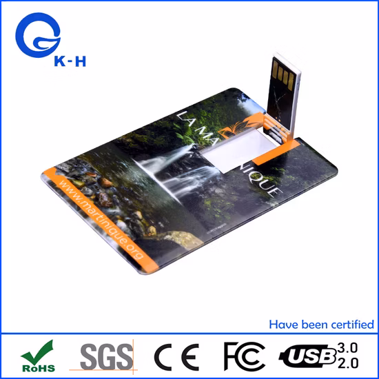 Stampa a colori, memoria flash carta di credito, 16 GB, USB 2.0 3.0