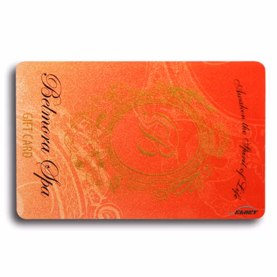 Carta da visita/regalo/abbonamento in plastica per hotel/sistema di gioco/parco divertimenti in PVC/animale domestico/carta